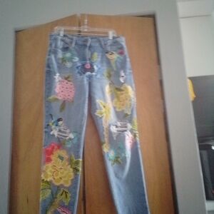 Anna Multicolor Embroidered Straight Leg Jeans